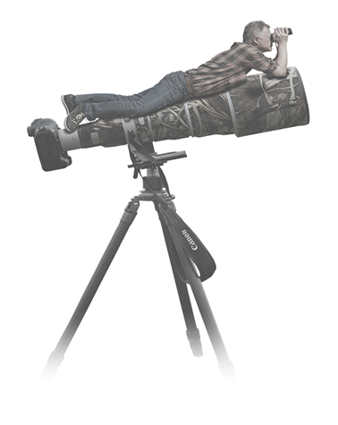 Mein Name ist Stefan Rieben, ich bin Naturfotograf und fotografiere gerne Vögel, Tiere, Landschaften und Makros.